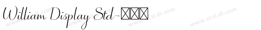 William Display Std字体转换